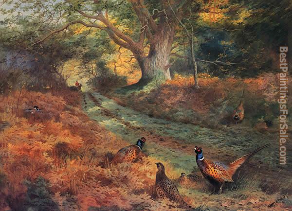 Archibald Thorburn Paintings for sale